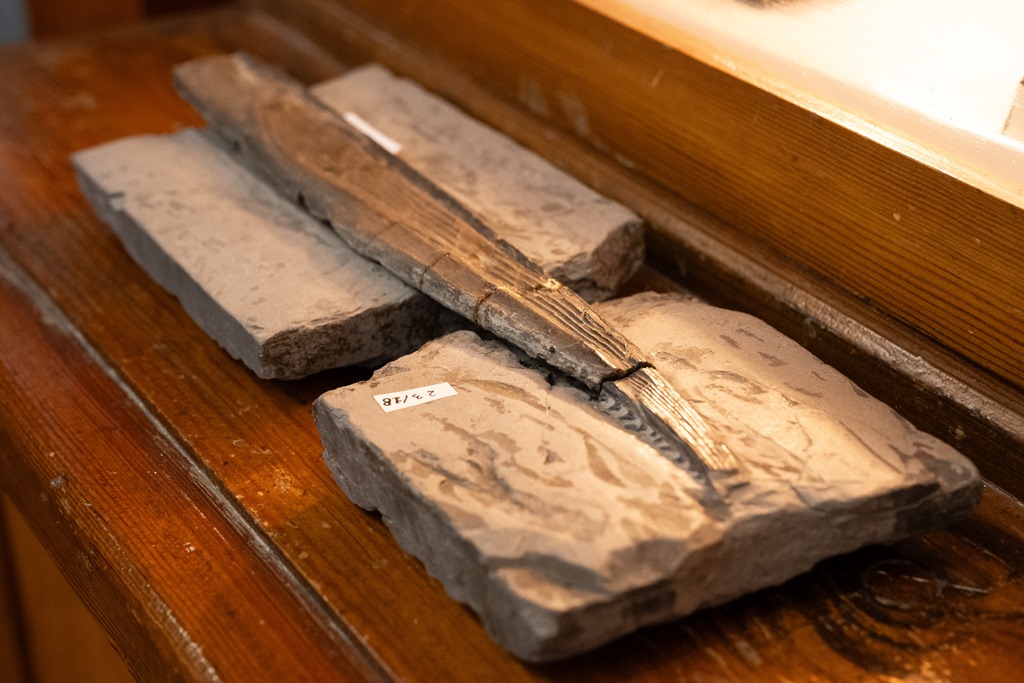 Пазл сошелся. Уникальный артефакт обнаружен в ходе рутинной инвентаризации экспонатов