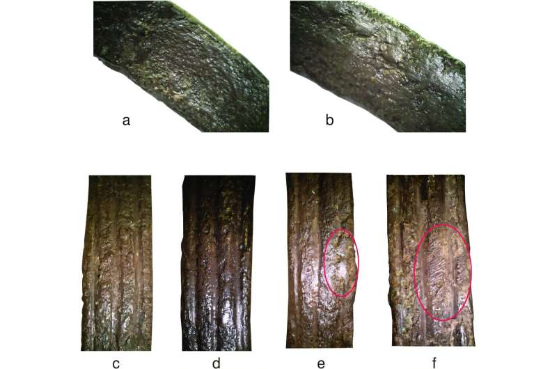 История, начавшаяся почти полтора века назад. При изучении уникального артефакта сделано важное открытие