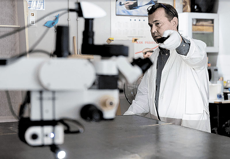 Наука и авангард. Спасти шедевры Третьяковке помогут специалисты Физтеха