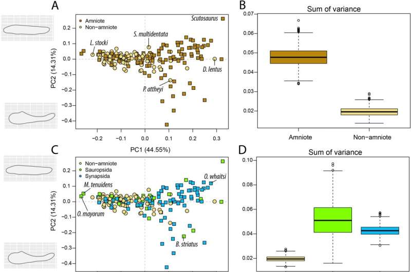 Открытие палеонтологов: что способствовало экологическому успеху предков всех рептилий, птиц и млекопитающих