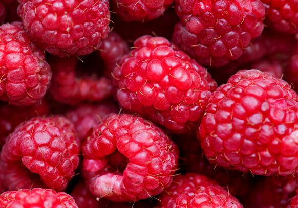 «Молекула молодости»: ученые назвали 4 продукта, благодаря которым она вырабатывается в организме