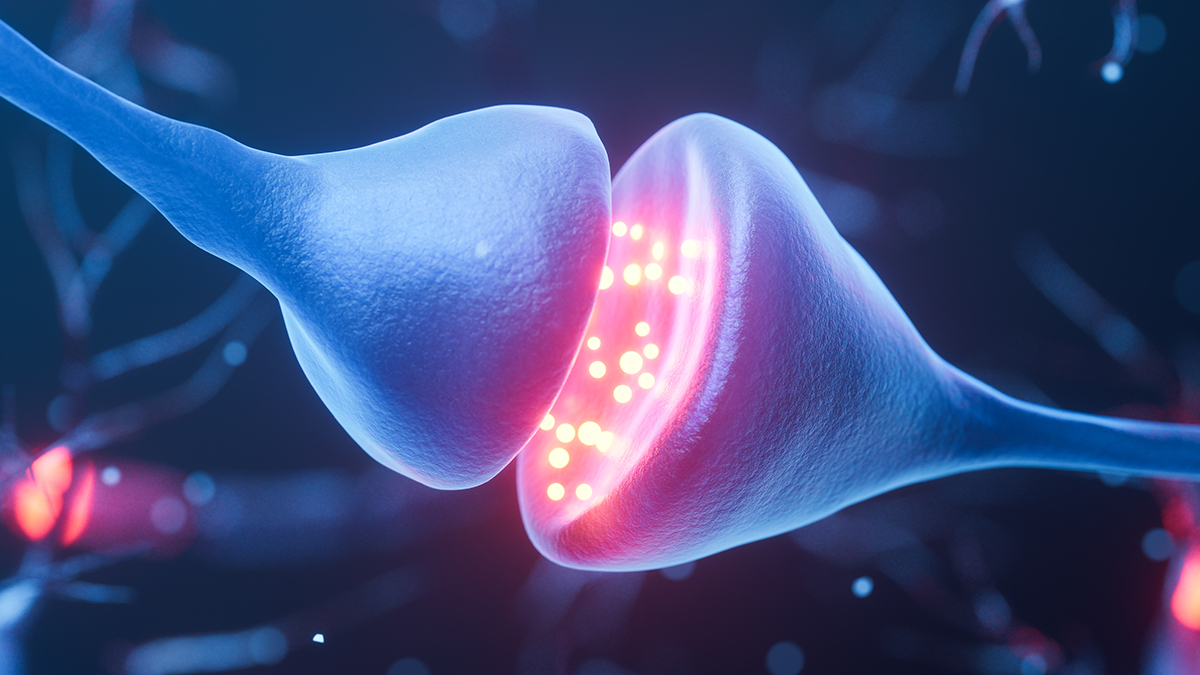 Мозг «поймали» в момент сигнала: Паркинсон ближе к разгадке