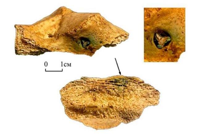 Выжил после раны. Останки «двойника» персонажа древнегреческой мифологии обнаружили археологи