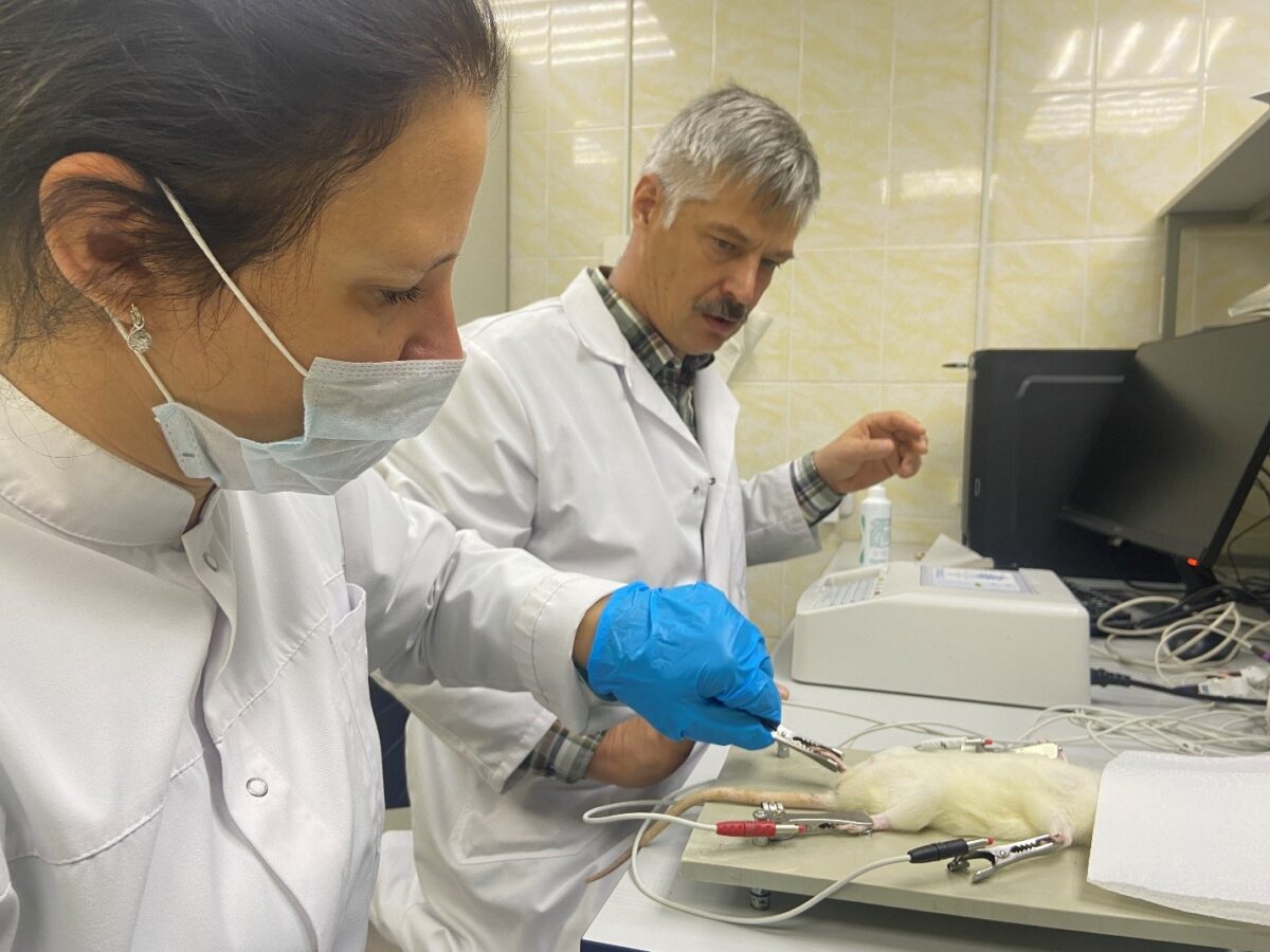 Поможет регенерации. Гель из коллагена и цериевых наночастиц в два раза ускорил заживление глубоких ран