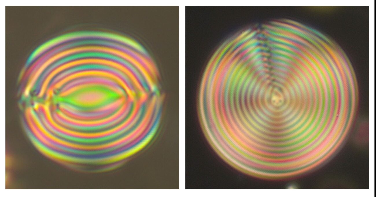 Ученые РАН: электрическое поле управляет «внутренним миром» жидких кристаллов