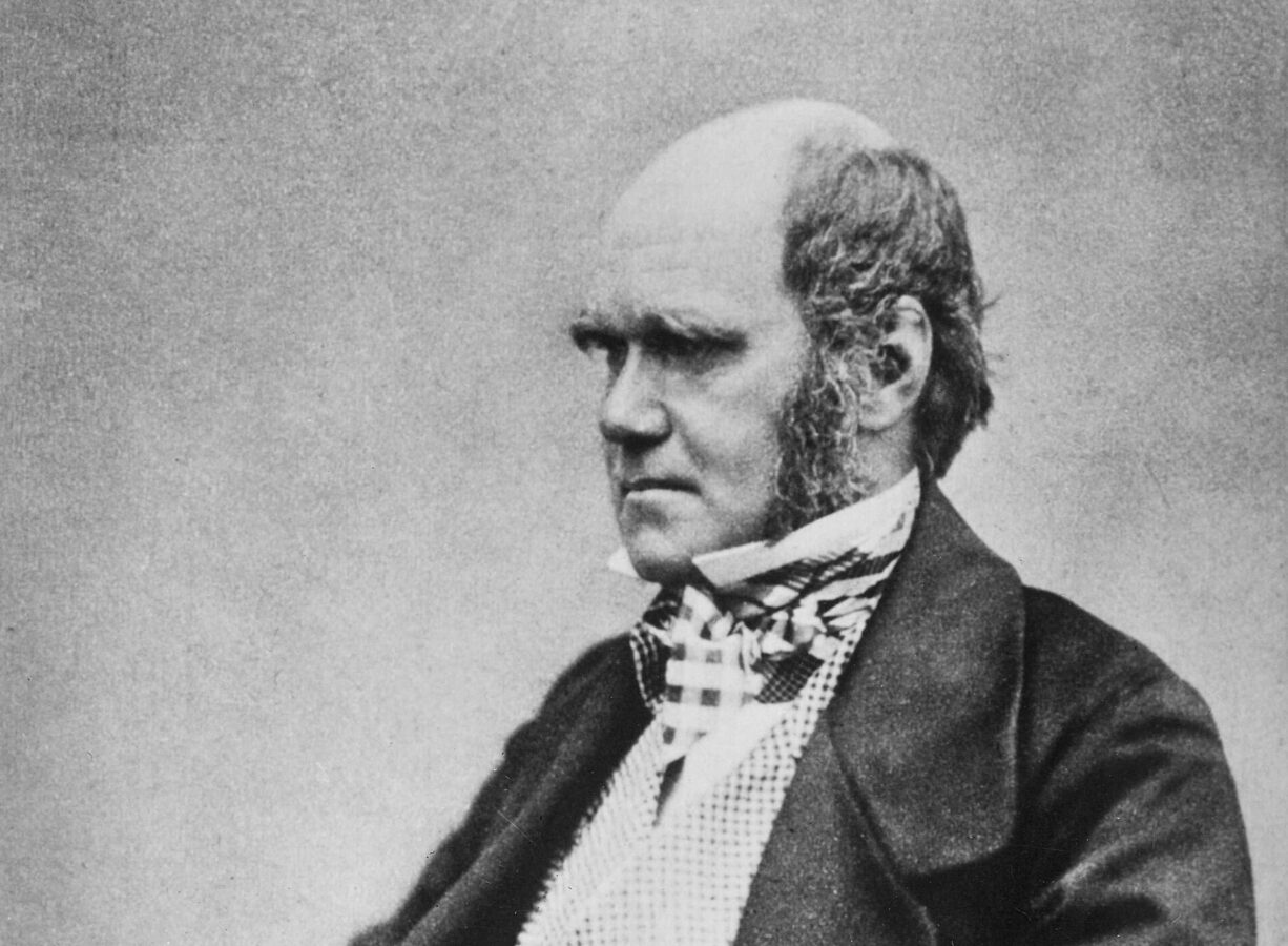 Праздник, который отобрал сильнейших: день рождения Чарльза Дарвина