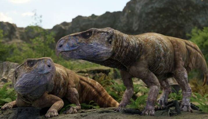 Тайна исчезновения динозавров в Европе разгадана. Однако есть нюансы