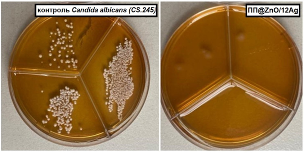 Продлевает срок хранения. Томские ученые создали первую в России антимикробную ПП-пленку для продуктов