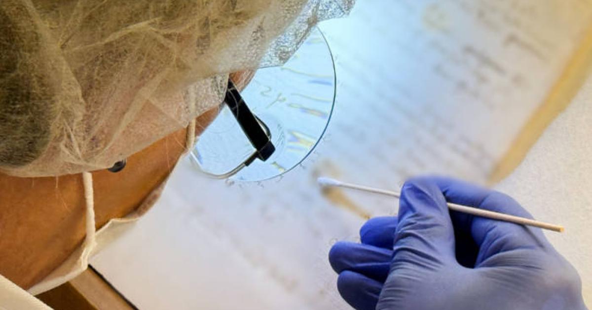 Удивительное открытие: ДНК художника и ученого эпохи Возрождения смогли извлечь из 500-летнего рисунка