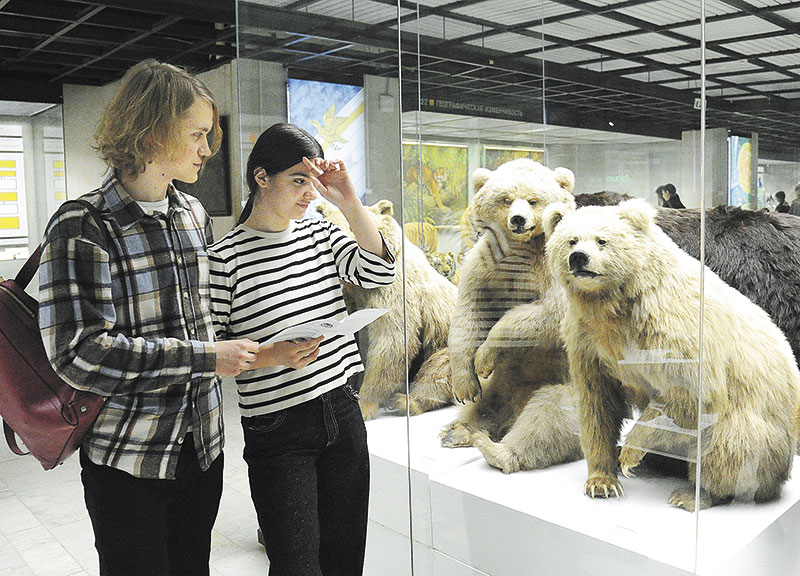 Черный заяц-беляк и другие