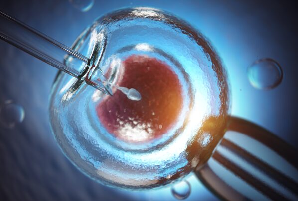 Прорыв в области ЭКО. Омоложение яйцеклеток повысит успешность экстракорпорального оплодотворения