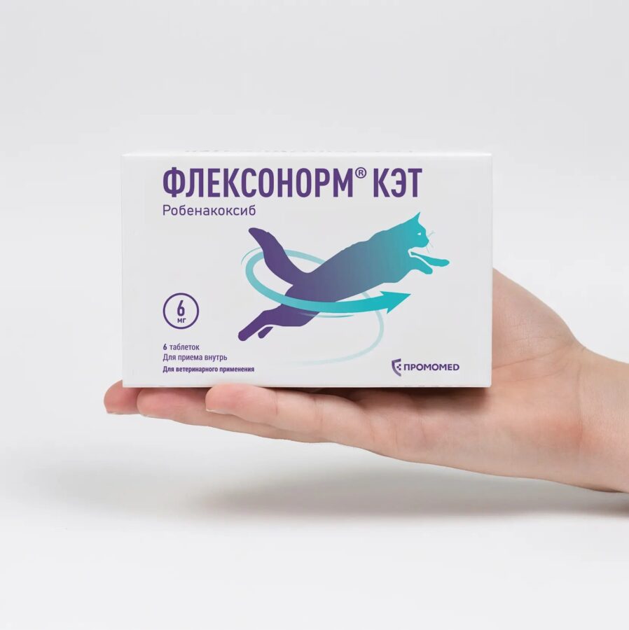 У кошки не заболит. Зарегистрирован новый ветеринарный препарат для лечения болевого синдрома у домашних питомцев