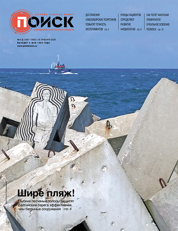 Песок надежнее бетона. Балтийские берега от штормов защитят пляжи