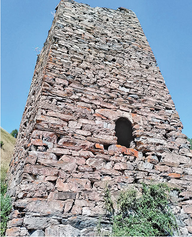 Естественная прочность. Как бактерии укрепляют башни