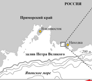 Тревога в заливе Восток: о будущем одной из жемчужин Приморья
