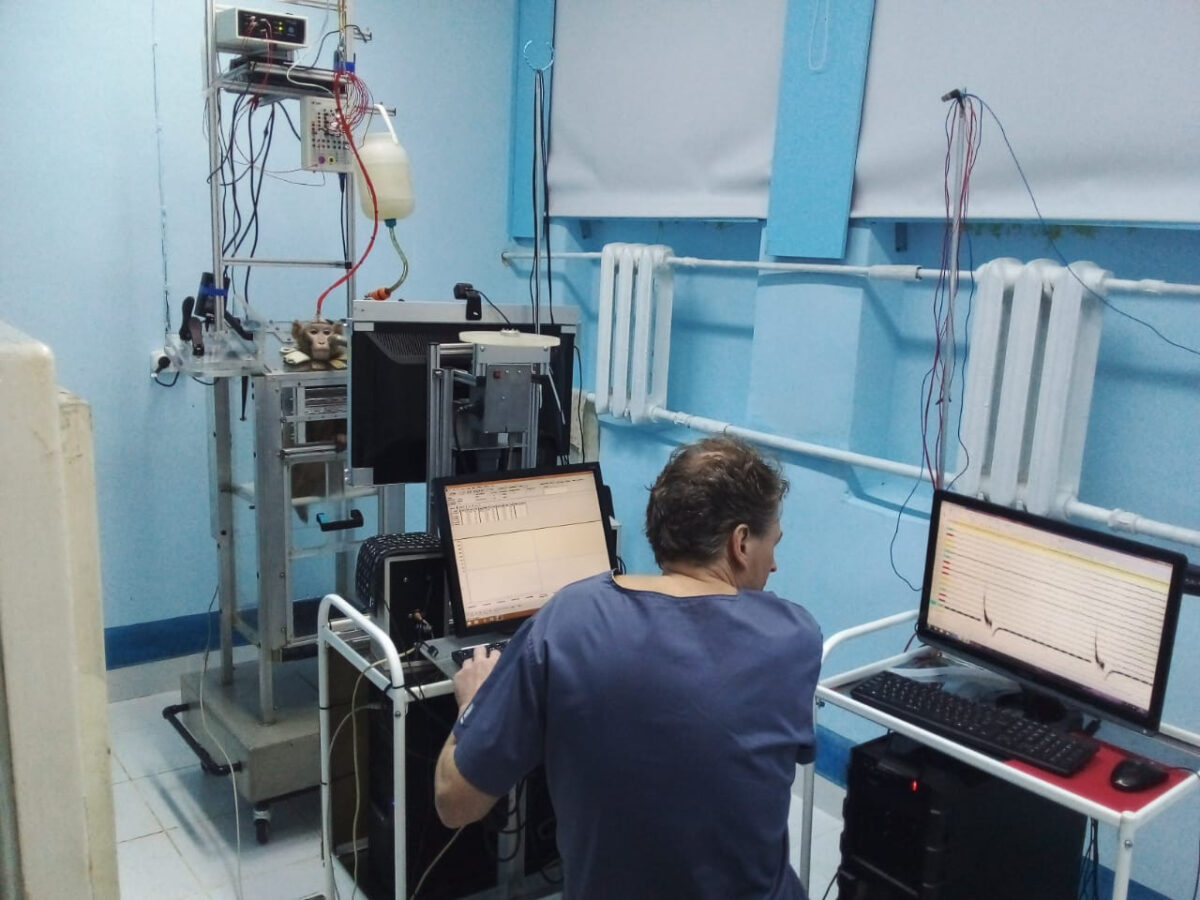 Инновационный способ: метод селективной инфракрасной нейронной стимуляции мозга разработали ученые РФ