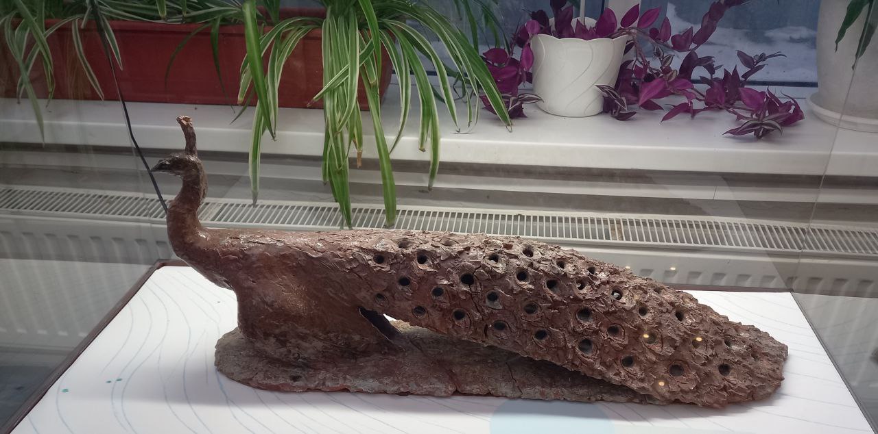 Дарвиновский музей приглашает. Танцующие козы, грациозные павлины и веселые моржи