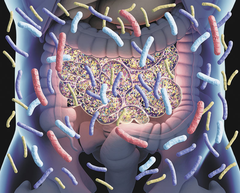 Траектории здоровья
