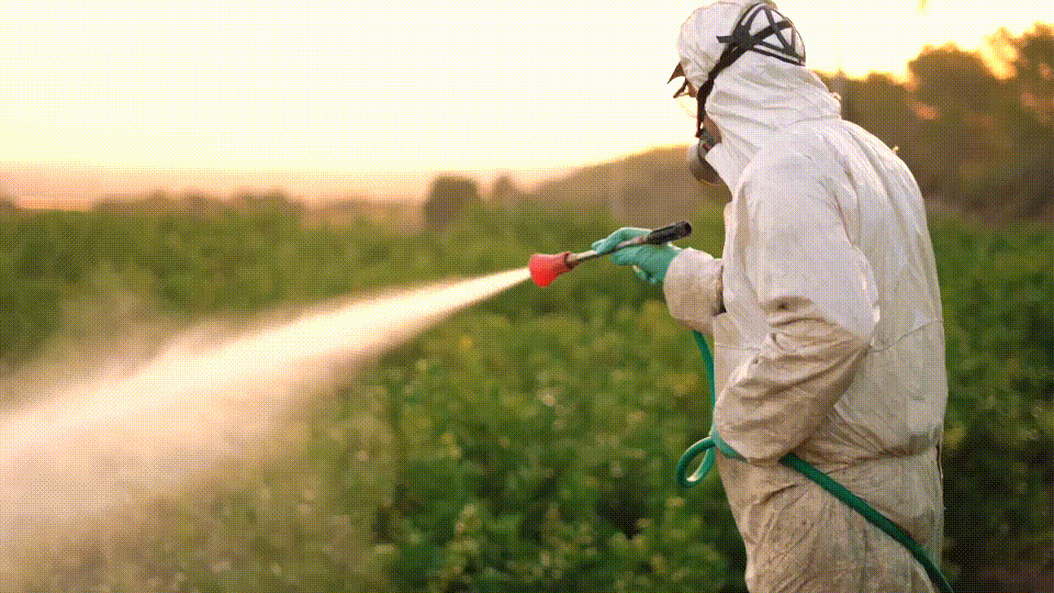 Пестициды: незаменимые помощники или смертельные враги