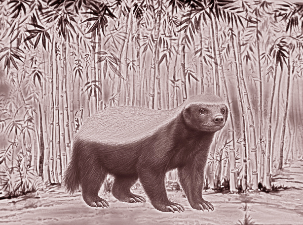 Первая в регионе. Ученые РАН с коллегами сделали неожиданную находку в плейстоцене Вьетнама