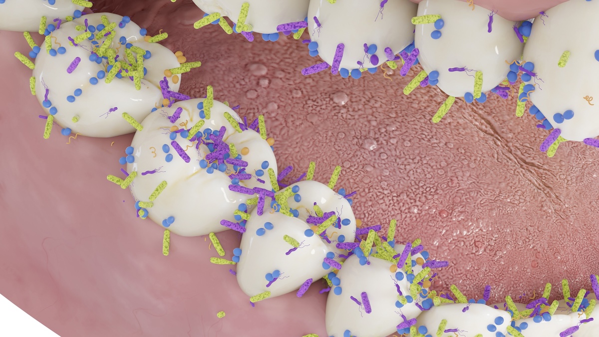 Секрет профилактики кариеса уже у нас во рту — и его только что нашли