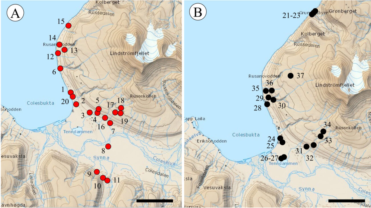 Нехарактерные лишайники: неожиданные находки в «горячей точке» арктического архипелага