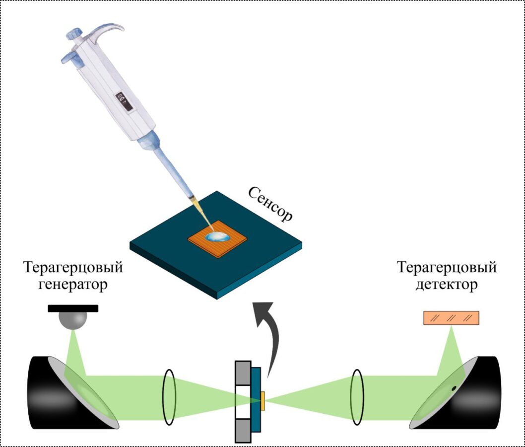 На ранних стадиях. Ученые создали наноантенный сенсор для обнаружения биомаркера для диагностики рака