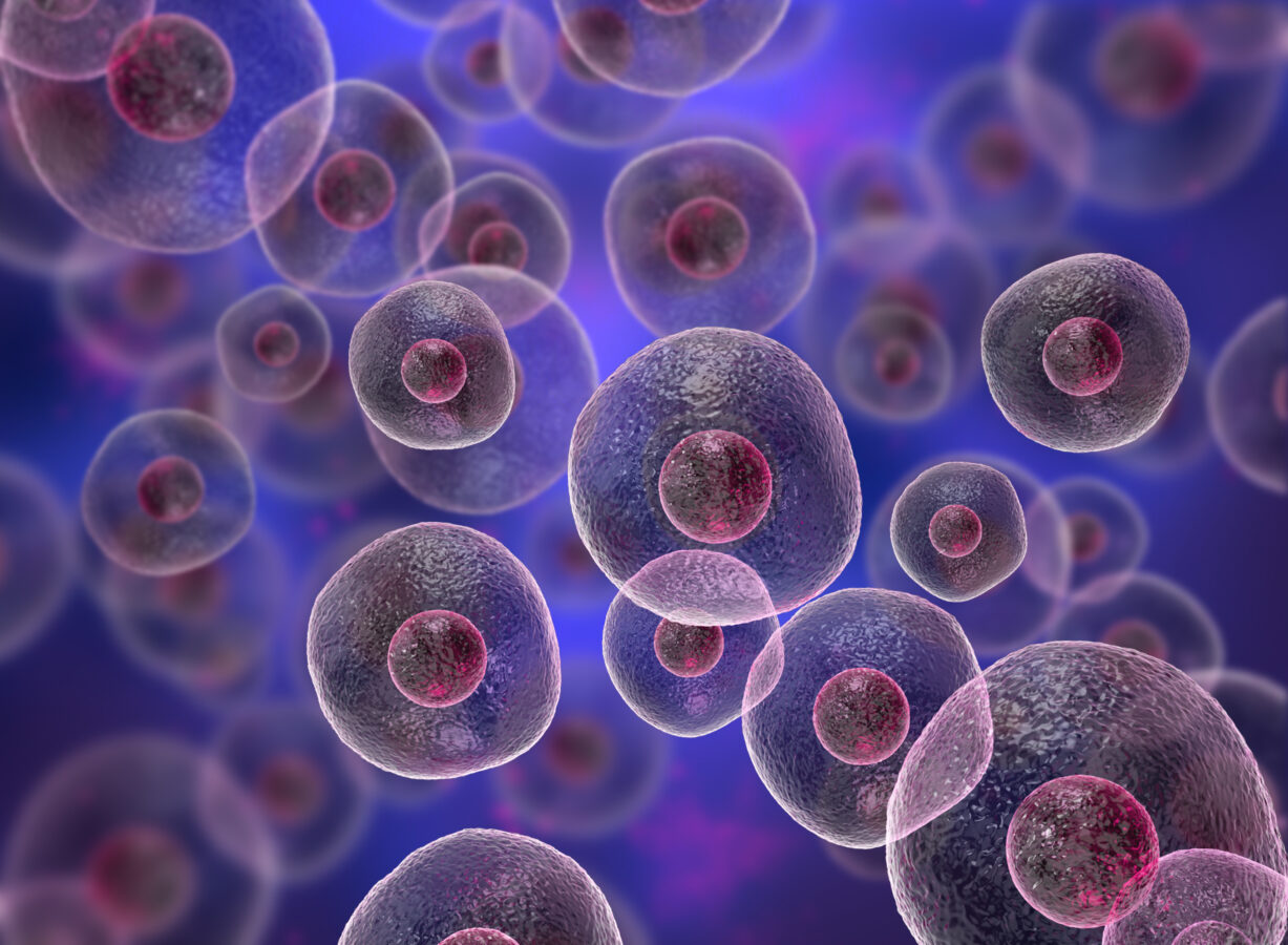 Структура филаментов прокариотических Аргонавтов раскрыта биологами МГУ с коллегами