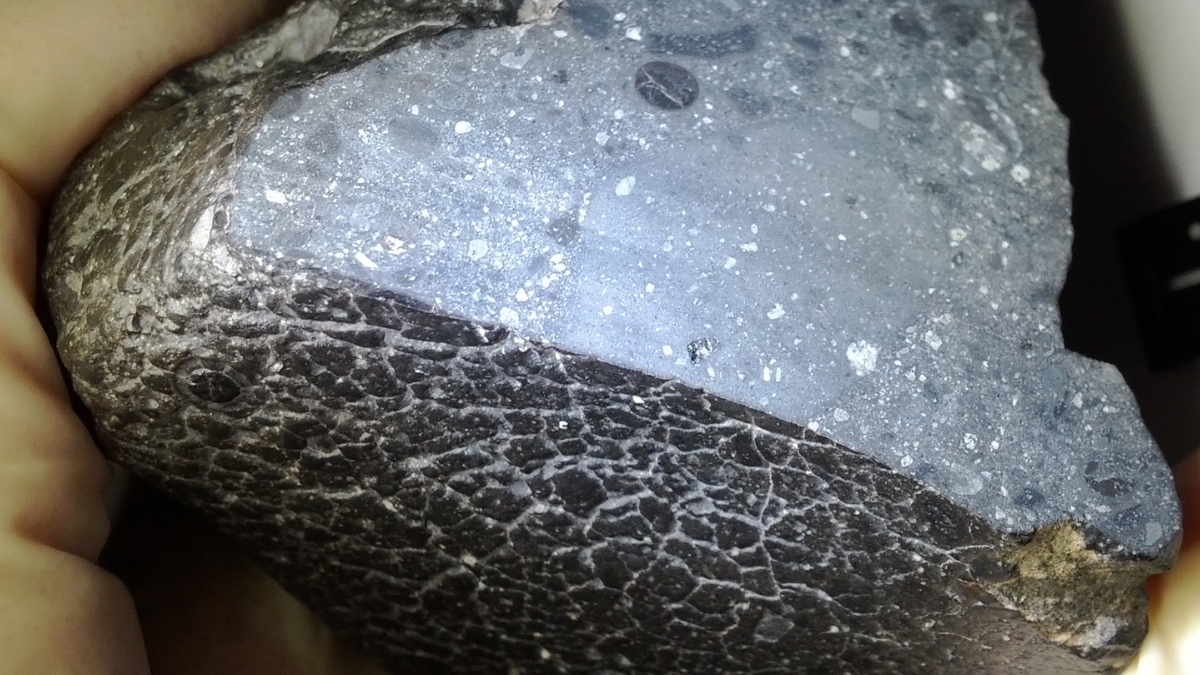 Просканировали «черный камень» с Марса — и нашли в нем неожиданную «водную» деталь