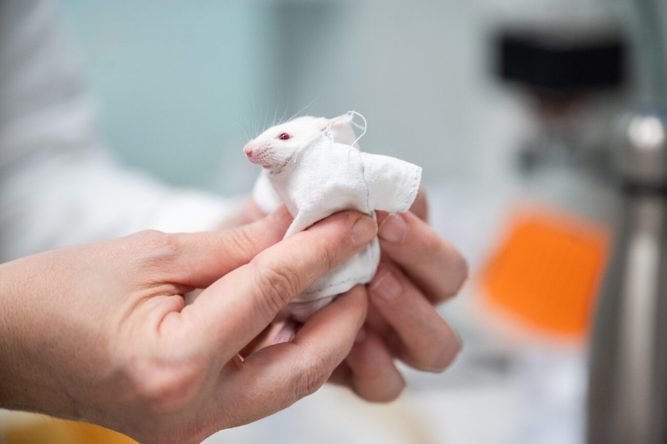 Российскими учеными создана ткань 3-в-1: антибактериальная, водоотталкивающая и самоочищающаяся