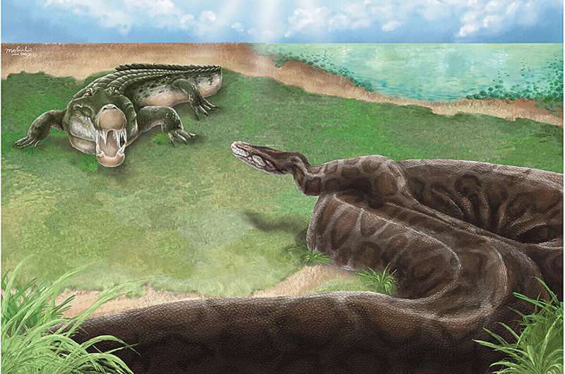 Куда пропали гигантские питоны-призраки? Ученые изучили фрагмент скелета древней рептилии