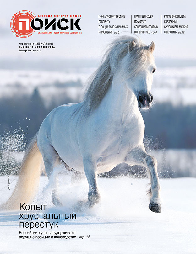 Как вывести символ года. Российские ученые удерживают ведущие позиции в коневодстве