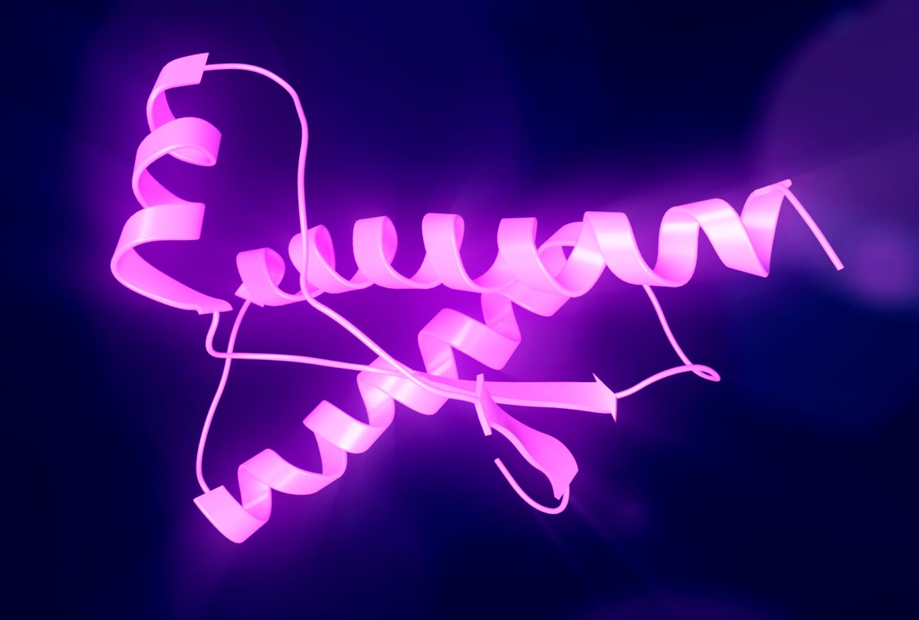 Оборотни внутри нас: двойная жизнь белков, которая приводит к катастрофе