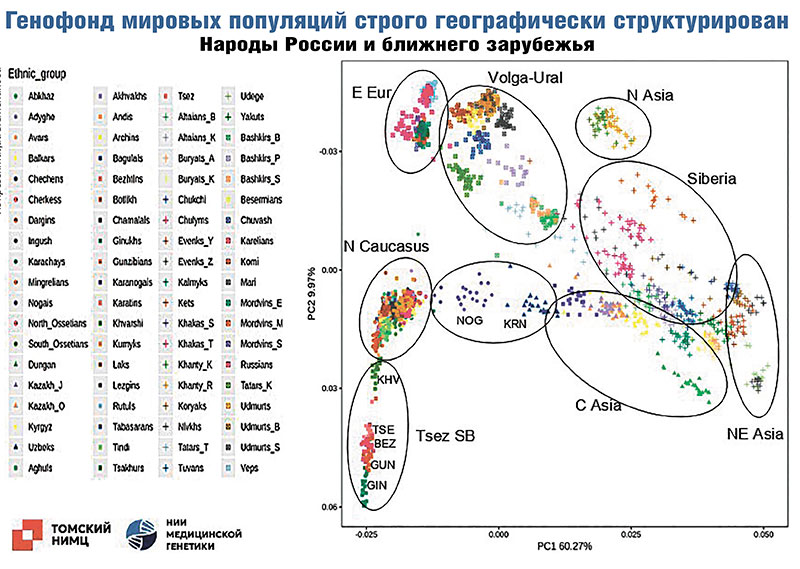 Хромосомы и преступления. Чем следственным органам поможет популяционная геномика