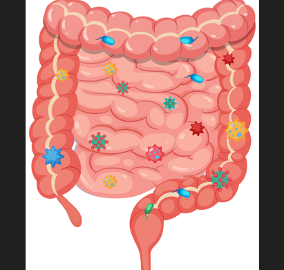 Неизвестная ранее. Обнаружена группа кишечных бактерий, связанных с хорошим здоровьем
