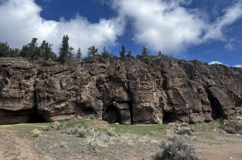 Редкие артефакты из орегонских пещер проливают свет на адаптацию людей к древнему похолоданию