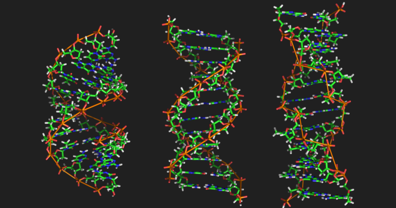 Ученые нашли механизм, влияющий на появление редких генетических расстройств