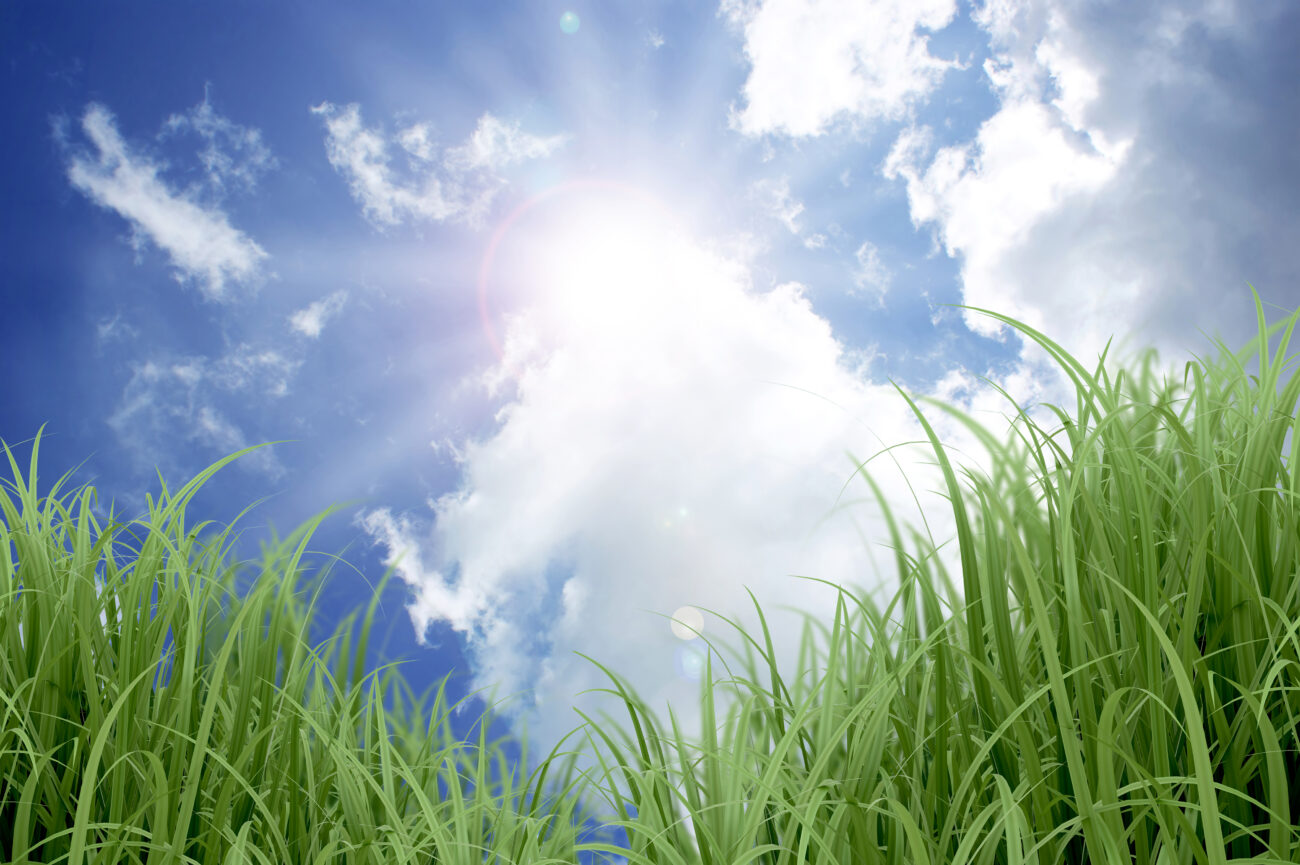 Впервые за 4 года. Исследователи РАН сообщили о редком явлении на поверхности Солнца