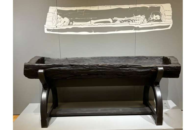 Тайна дубового ложа: как с помощью дендрохронологии уточнили возраст древней особы