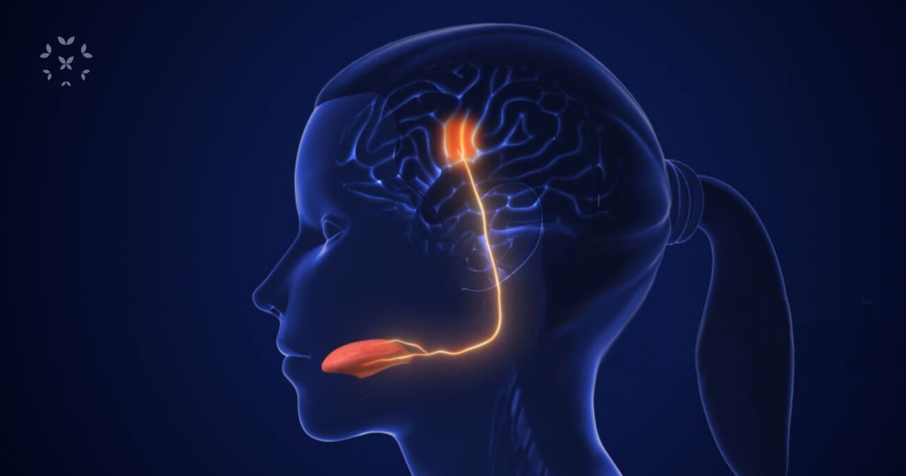 Сухой вяжущий вкус во рту: учёные выяснили, что он делает с мозгом