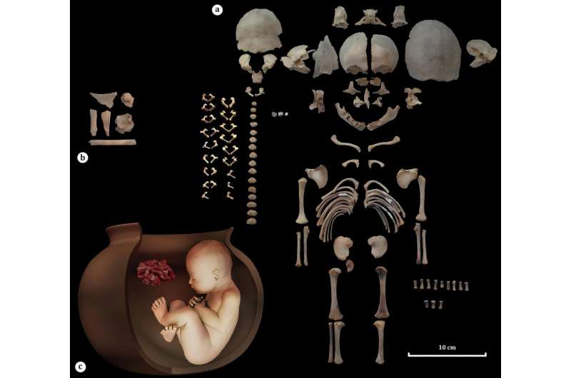 Сосуды для приготовления пищи. Детские захоронения раскрывают тайны доисторических ритуалов