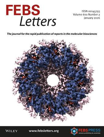 Статья ученых РАН о структуре светособирающего комплекса попала на обложку авторитетного научного издания