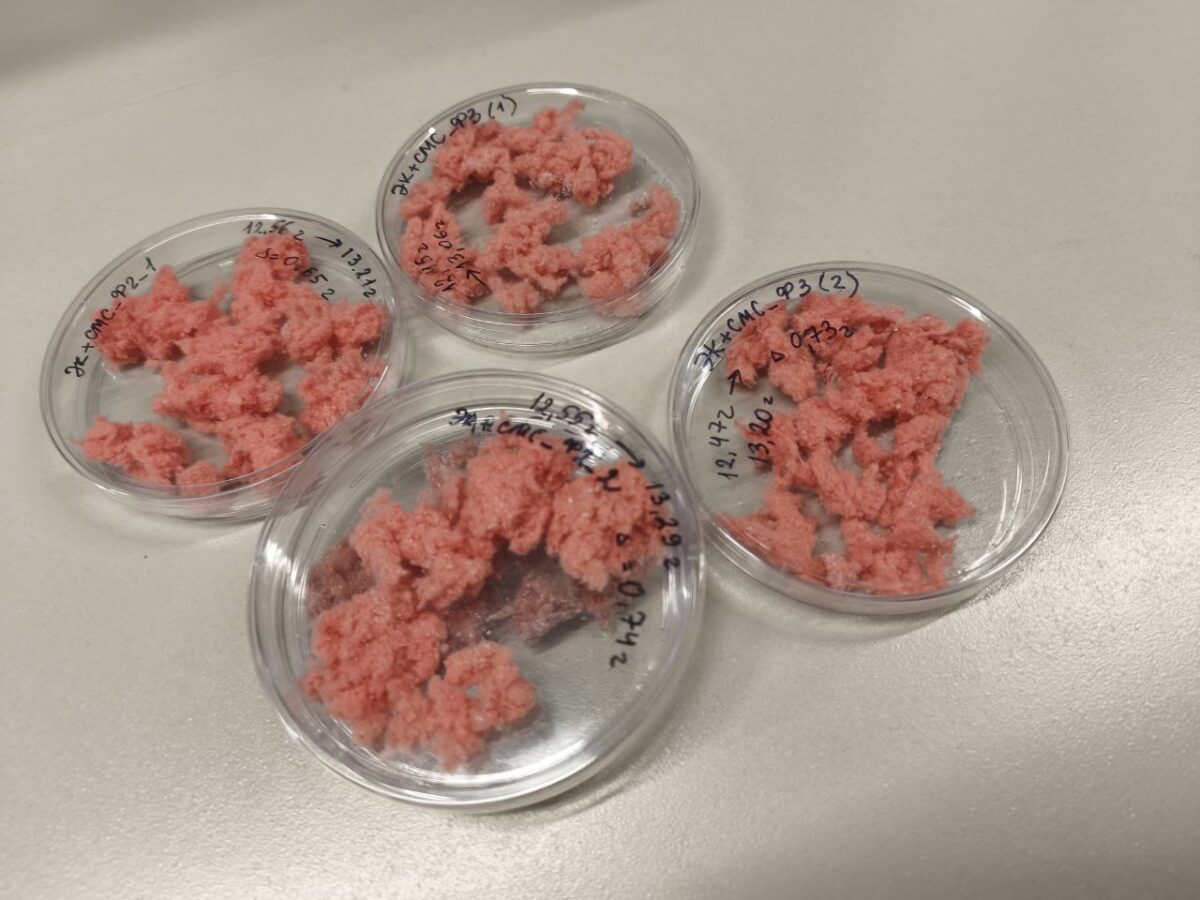 Защитить планету. Российские ученые изобрели фильтр, который ловит до 90% микропластика при стирке