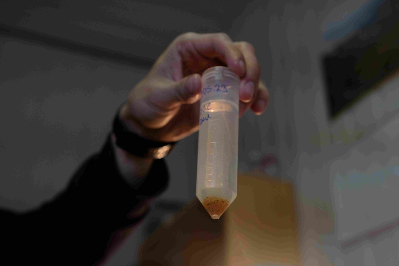 Что общего у водорослей Байкала и рыб Амазонки? Создан «химический паспорт» всей пресноводной жизни планеты