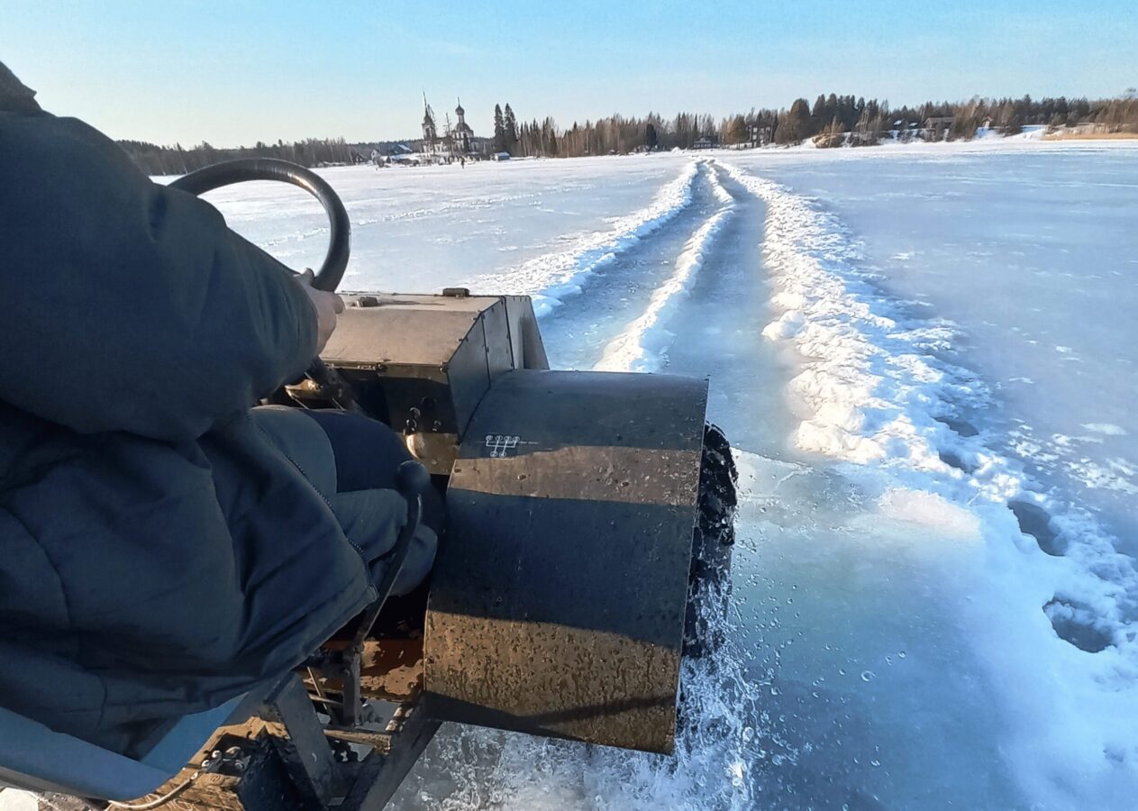 Редкие рыбы расширяют ареал: как потепление климата оживляет реликтовые популяции