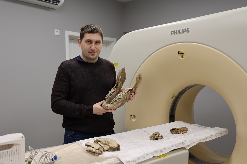 Ученые впервые провели исследования челюстей шерстистого носорога на компьютерном томографе