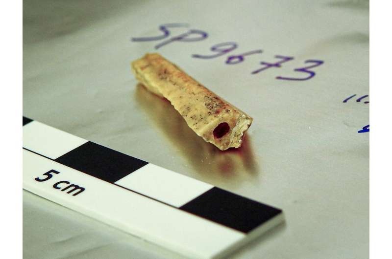 Затерянные племена ледниковой эпохи: как изоляция ускорила генетический раскол неандертальцев