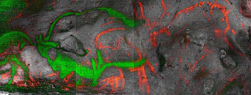 Хронологическая лаборатория прошлого. Загадка угля в камне: как черные тени бизона переписали хроники пещер