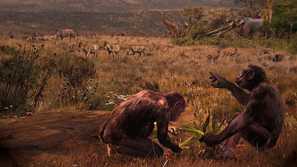 Загадка балканской обезьяны: мог ли наш древнейший предок ходить на двух ногах в Европе 7 миллионов лет назад?