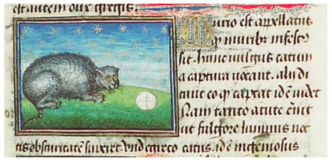 Бестиарий «Книги из Келлса»: зачем монахи рисовали котов в Евангелии